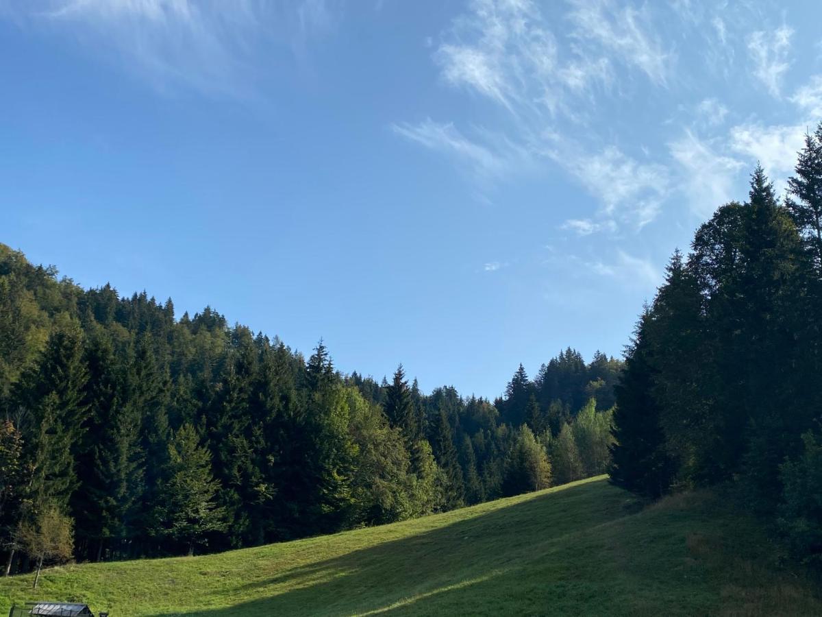 Apartma Jure Zgornje Gorje Exterior foto